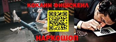 гашик Камышлов
