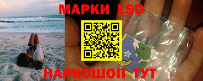 гашик Камышлов