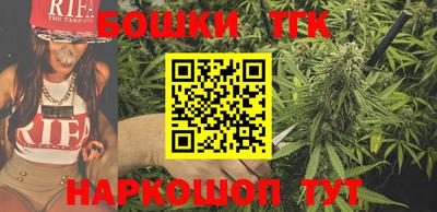 гашик Камышлов