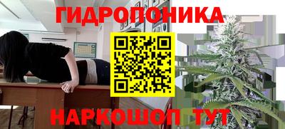 мдпв Канаш