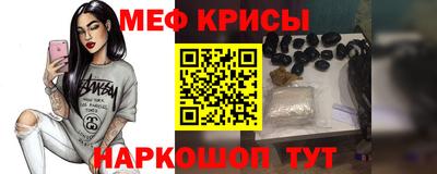 гашик Камышлов