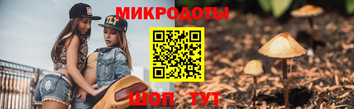 Псилоцибиновые грибы Psilocybe  Вход с VPN  Королёв 